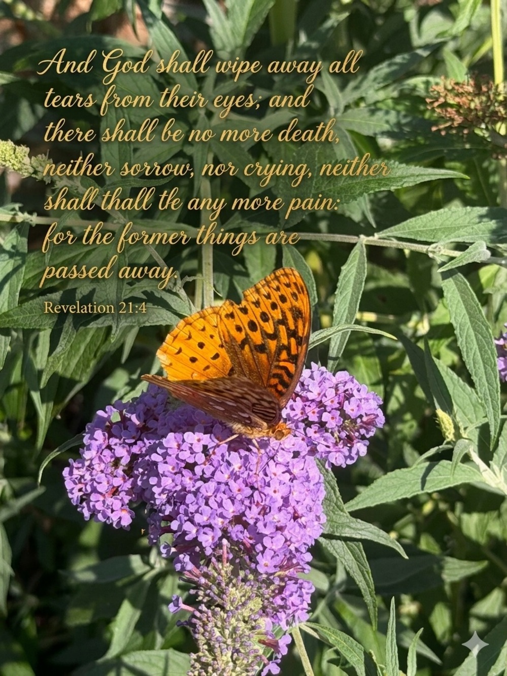Encourage and Enlighten Daily Devotion Aug 25-30